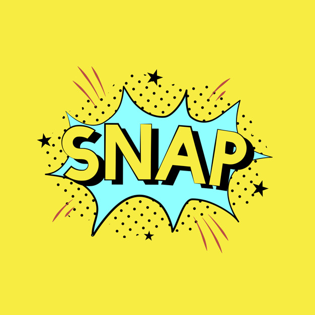snap in texas